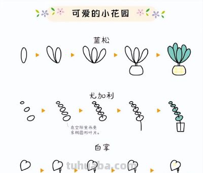 27种小花绿植简笔画步骤图~可爱的小花园 - 图画吧TUHUABA