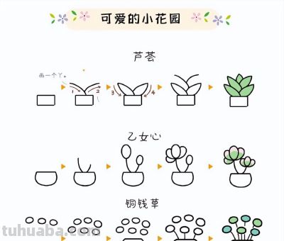 27种小花绿植简笔画步骤图~可爱的小花园 - 图画吧TUHUABA
