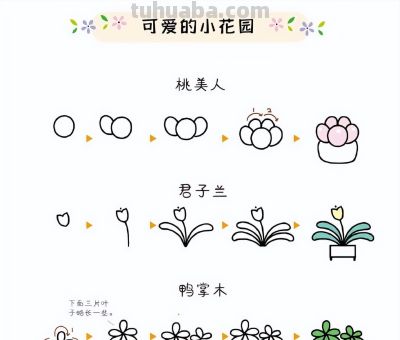 27种小花绿植简笔画步骤图~可爱的小花园 - 图画吧TUHUABA