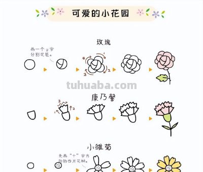 27种小花绿植简笔画步骤图~可爱的小花园 - 图画吧TUHUABA