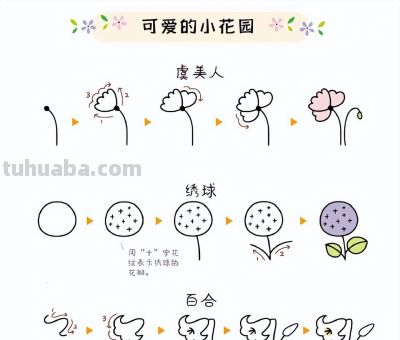 27种小花绿植简笔画步骤图~可爱的小花园 - 图画吧TUHUABA