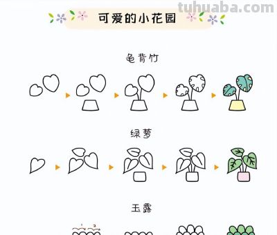 27种小花绿植简笔画步骤图~可爱的小花园 - 图画吧TUHUABA