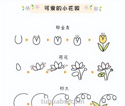 27种小花绿植简笔画步骤图~可爱的小花园 - 图画吧TUHUABA