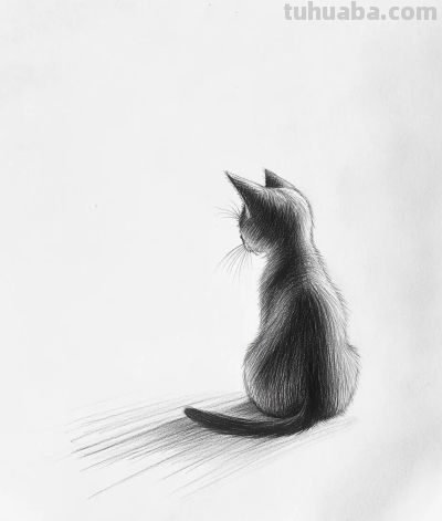 速写简笔画 猫咪 - 图画吧TUHUABA