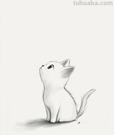 速写简笔画 猫咪 - 图画吧TUHUABA