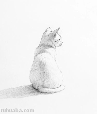 速写简笔画 猫咪 - 图画吧TUHUABA