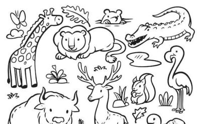 300个动物简笔画线稿，收藏备用 - 图画吧TUHUABA