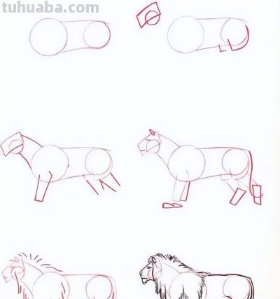 17种动物简笔画教程，一画就会！ - 图画吧TUHUABA