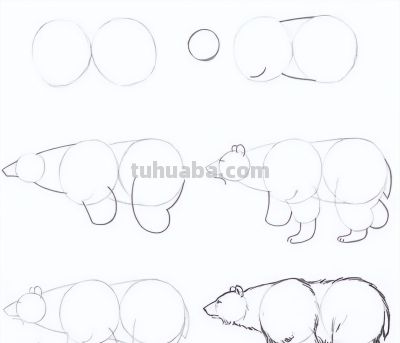 17种动物简笔画教程，一画就会！ - 图画吧TUHUABA