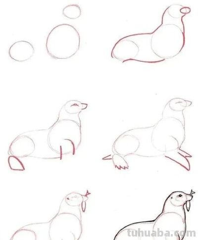17种动物简笔画教程，一画就会！ - 图画吧TUHUABA