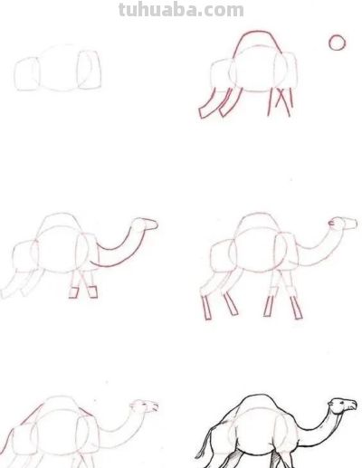 17种动物简笔画教程，一画就会！ - 图画吧TUHUABA