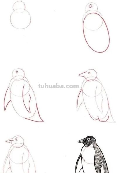 17种动物简笔画教程，一画就会！ - 图画吧TUHUABA