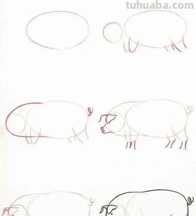 17种动物简笔画教程，一画就会！ - 图画吧TUHUABA