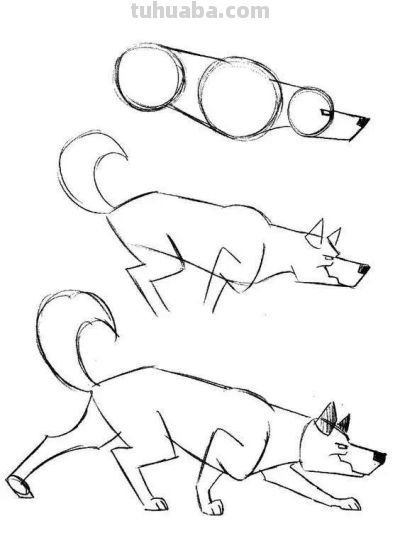 17种动物简笔画教程，一画就会！ - 图画吧TUHUABA