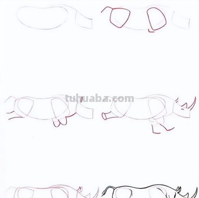 17种动物简笔画教程，一画就会！ - 图画吧TUHUABA