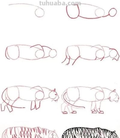 17种动物简笔画教程，一画就会！ - 图画吧TUHUABA