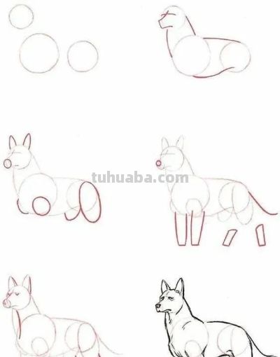 17种动物简笔画教程，一画就会！ - 图画吧TUHUABA