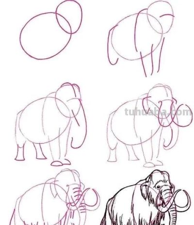 17种动物简笔画教程，一画就会！ - 图画吧TUHUABA