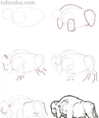 17种动物简笔画教程，一画就会！ - 图画吧TUHUABA