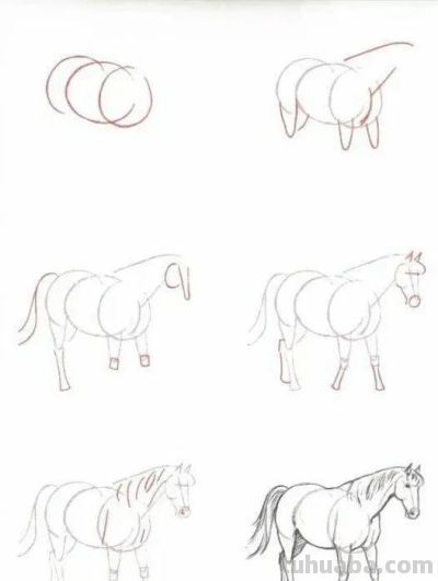 17种动物简笔画教程，一画就会！ - 图画吧TUHUABA