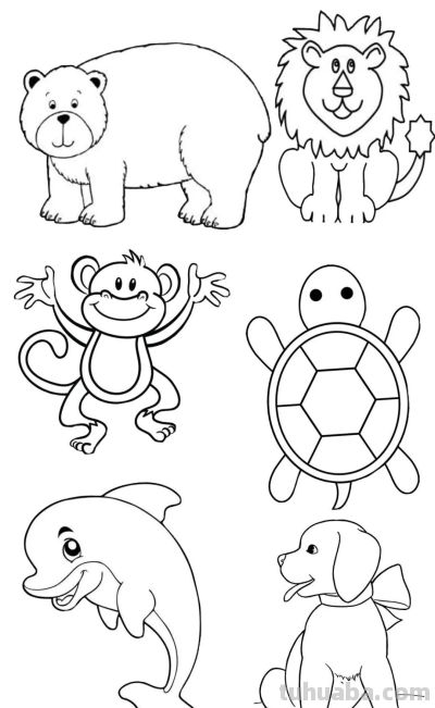 50个小动物简笔画素材图，临摹学画 - 图画吧TUHUABA