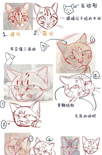 史上最全画猫大法，细枝末节都教清楚 - 图画吧TUHUABA
