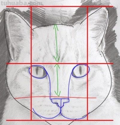 史上最全画猫大法，细枝末节都教清楚 - 图画吧TUHUABA
