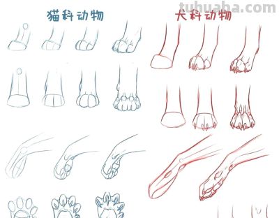 史上最全画猫大法，细枝末节都教清楚 - 图画吧TUHUABA