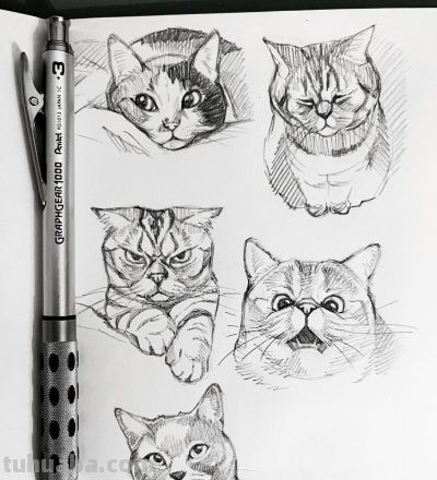 史上最全画猫大法，细枝末节都教清楚 - 图画吧TUHUABA
