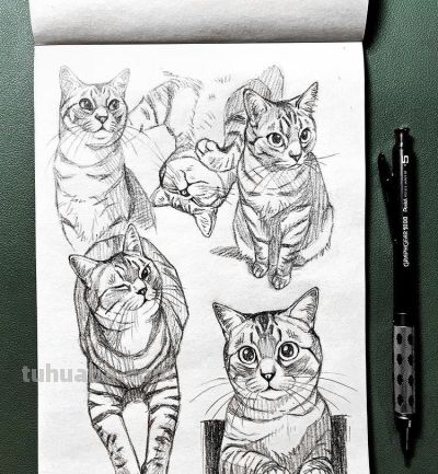 史上最全画猫大法，细枝末节都教清楚 - 图画吧TUHUABA