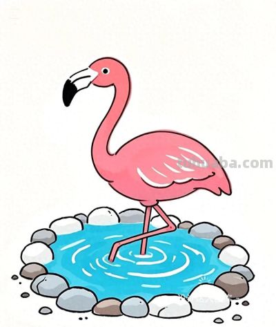 简笔画｜简约插画｜火烈鸟