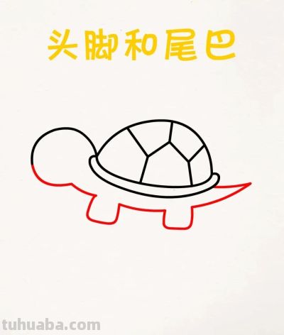 简笔画｜可爱乌龟（附教程） - 图画吧TUHUABA