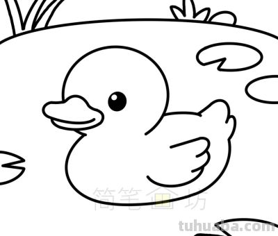 在池塘游泳的可爱小黄鸭简笔画教程（附线稿） - 图画吧TUHUABA