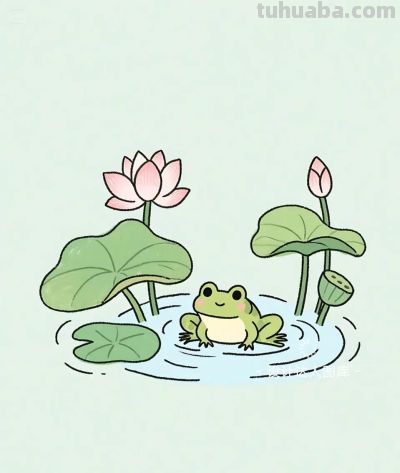 简笔画｜简约插画｜荷叶上的青蛙 - 图画吧TUHUABA