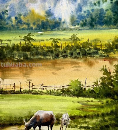 沉寂10年，他用水彩把“平凡”画到极致！圈粉无数，质感美到心里 - 图画吧TUHUABA