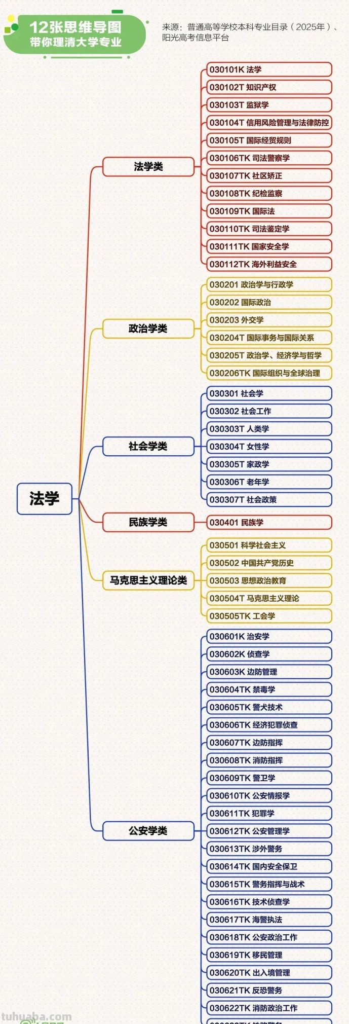 最新大学本科专业思维导图，志愿填报必看 - 图画吧TUHUABA