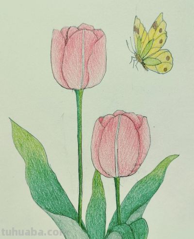 彩铅画分享 - 图画吧TUHUABA