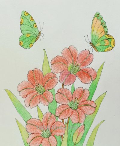 彩铅画分享 - 图画吧TUHUABA