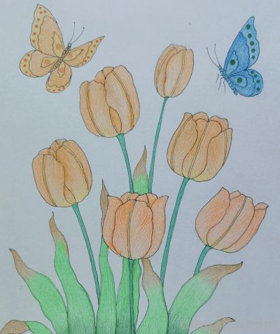 彩铅画分享 - 图画吧TUHUABA