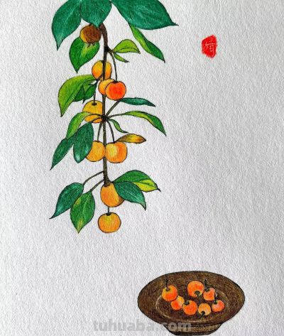 彩铅画欣赏 - 图画吧TUHUABA