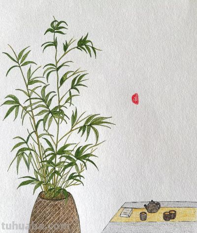 彩铅画欣赏 - 图画吧TUHUABA