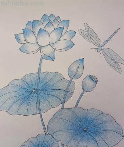 艺美彩铅画欣赏 - 图画吧TUHUABA