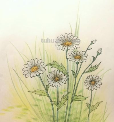 艺美彩铅画欣赏 - 图画吧TUHUABA