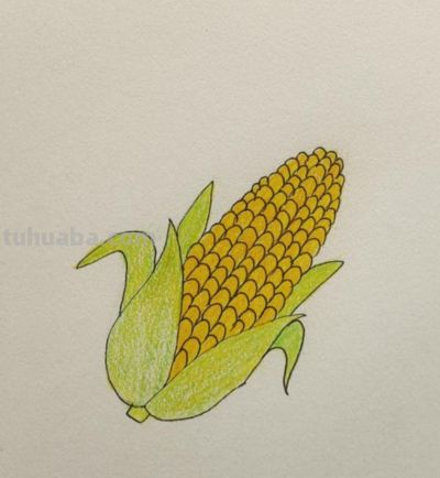 艺美彩铅画欣赏 - 图画吧TUHUABA