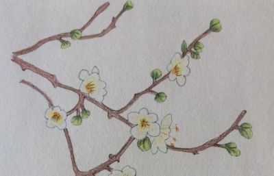 小众壁纸：彩铅画 - 图画吧TUHUABA