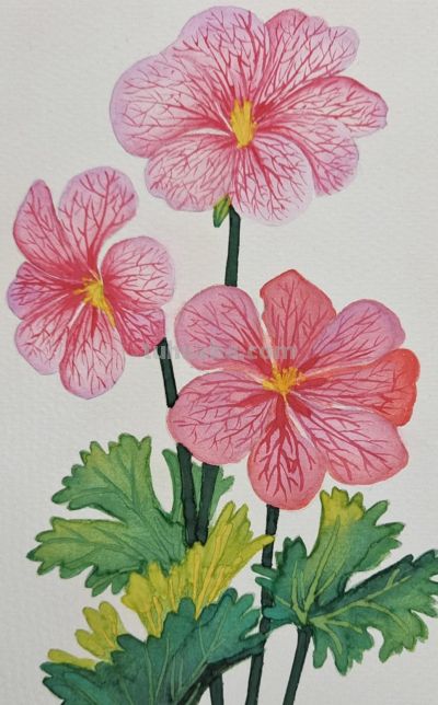 小众壁纸：彩铅画 - 图画吧TUHUABA