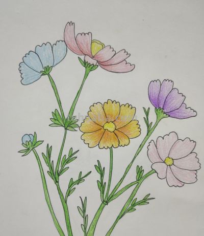 小众壁纸：彩铅画 - 图画吧TUHUABA