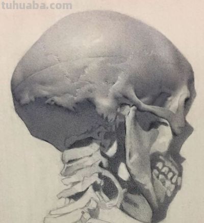 好素描，也就是寥寥数笔 - 图画吧TUHUABA