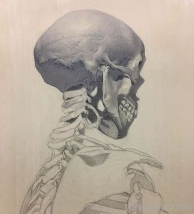 好素描，也就是寥寥数笔 - 图画吧TUHUABA