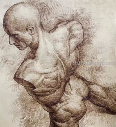 好素描，也就是寥寥数笔 - 图画吧TUHUABA